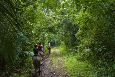 Horseback riding in Belize