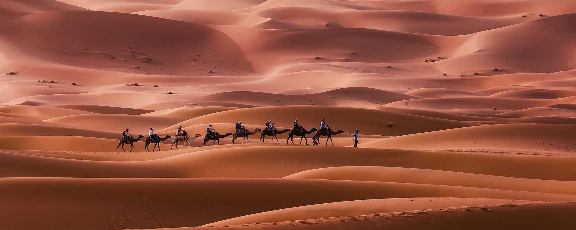 Caravan through the Erg Chebbi desert in Morocco